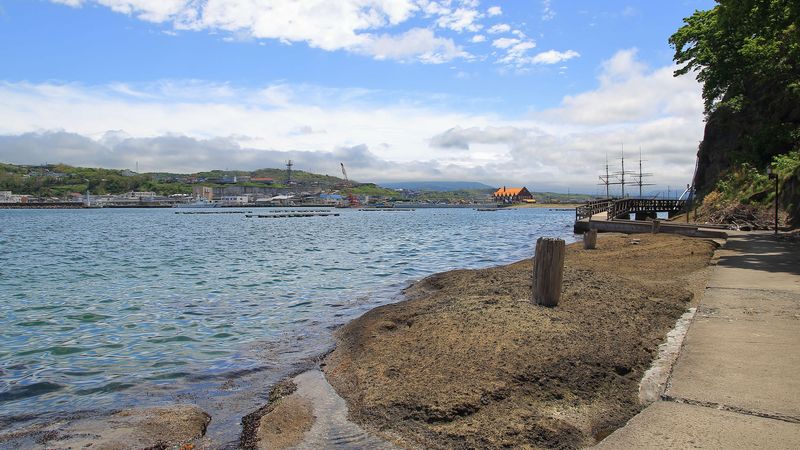 Remains of Merchant Ship Mooring